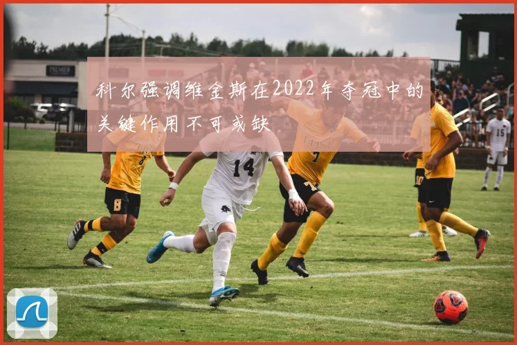 科尔强调维金斯在2022年夺冠中的关键作用不可或缺
